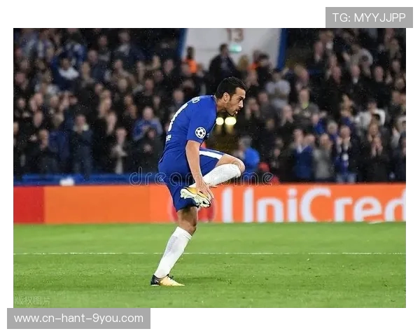 卡拉巴与谢里夫对决分析及比赛前景展望